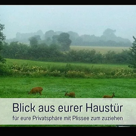 Apartamento Hof Norden Fuer Familien Und Paare *