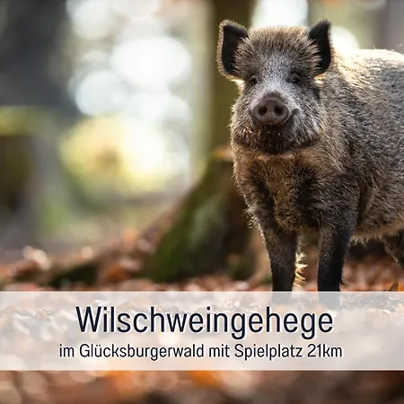 Apartamento Hof Norden Fuer Familien Und Paare