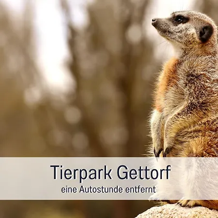 Apartamento Hof Norden Fuer Familien Und Paare *