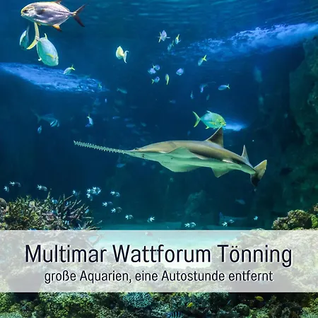 Apartamento Hof Norden Fuer Familien Und Paare