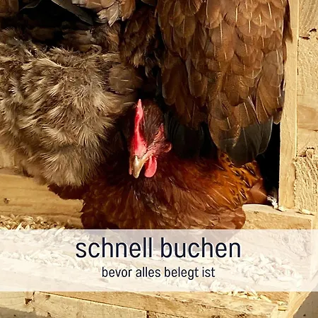 Hof Norden Fuer Familien Und Paare Apartamento