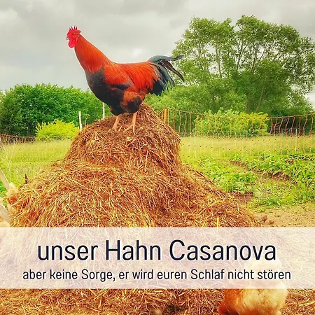 Hof Norden Fuer Familien Und Paare Apartamento Sörup