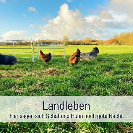 Apartamento Hof Norden Fuer Familien Und Paare